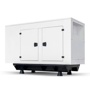 دیزل ژنراتور بادوین 165 کاوا مدل 6M11G165/5